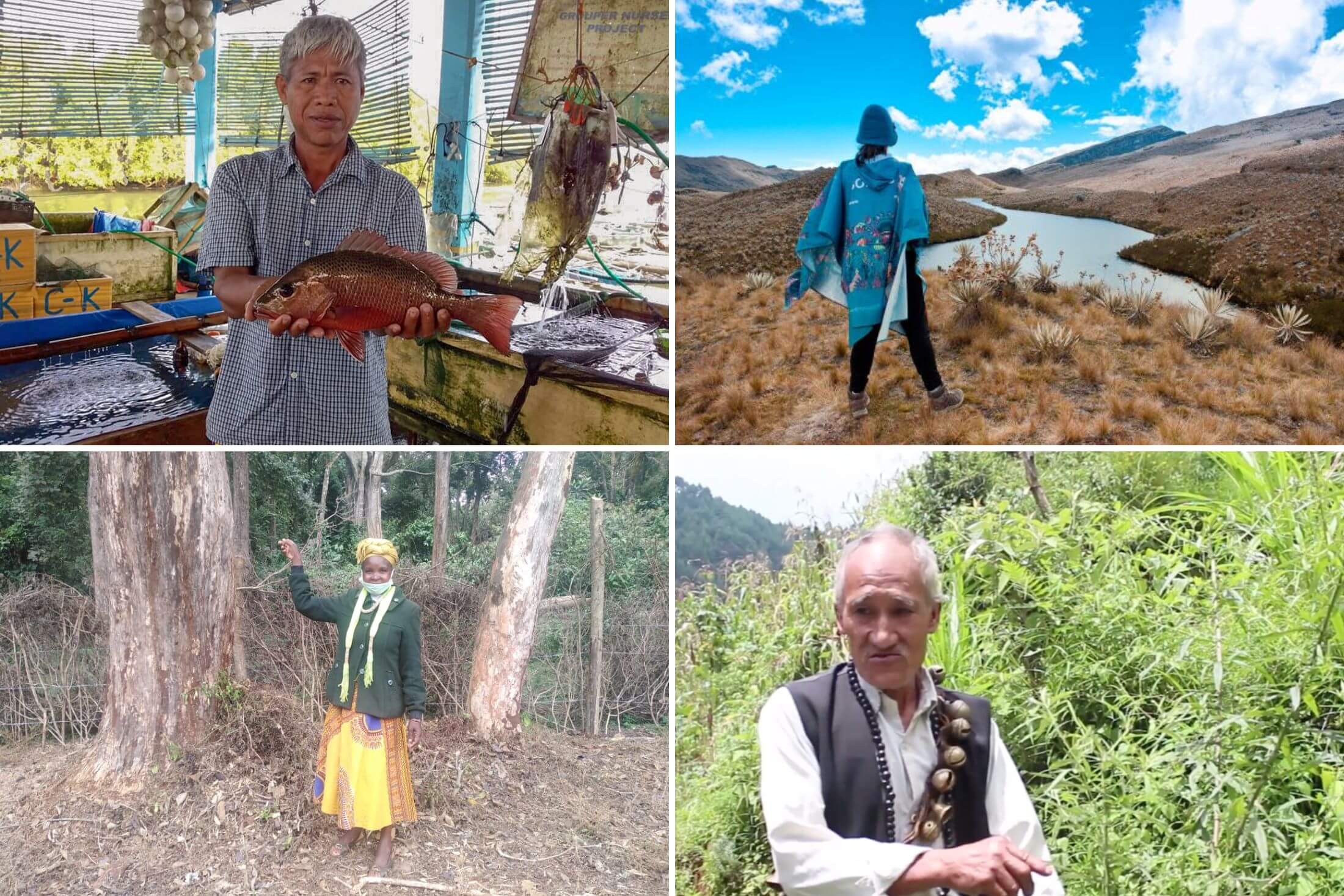 A square collage of four photos with a Filipino man holding a fish in a market, a woman wrapped in an Indigenous blanket looking at a mountain in the Andes, an Indigenous Nepalese man standing on a mountainside with thick vegetation, and a Kenyan woman standing next to a large tree.